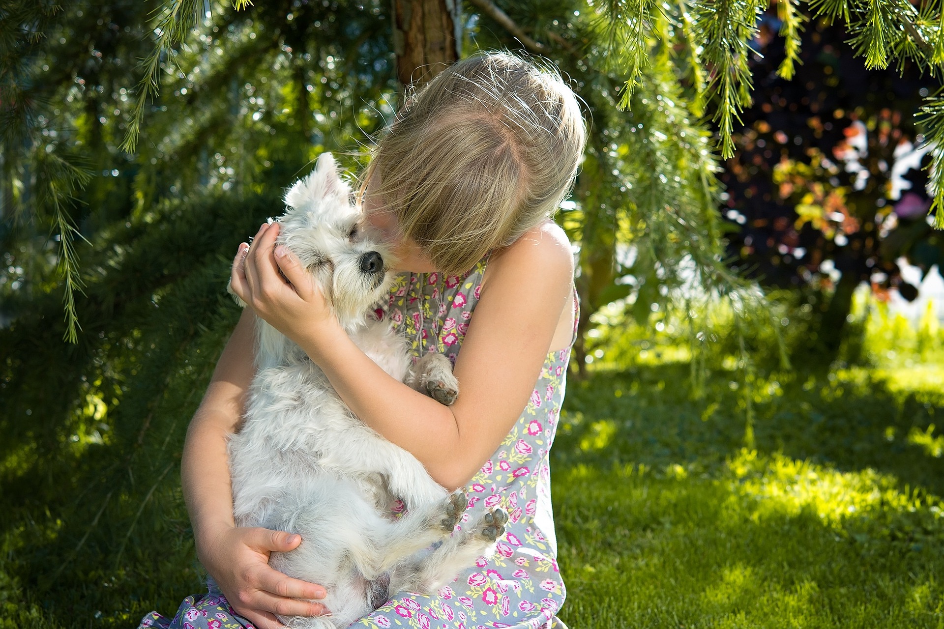 Small Dog with Child Image by Petra from Pixabay